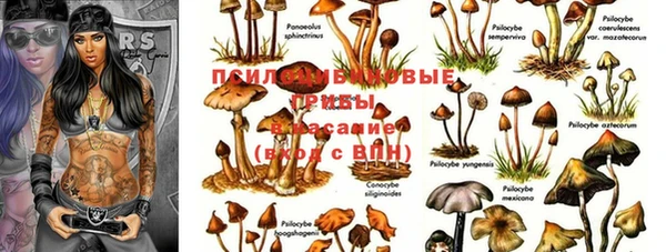 хмурый Бронницы