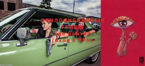 хмурый Бронницы