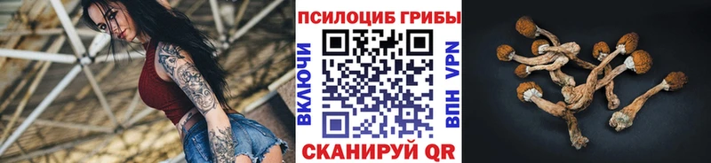 Галлюциногенные грибы мицелий  где купить   Шенкурск 